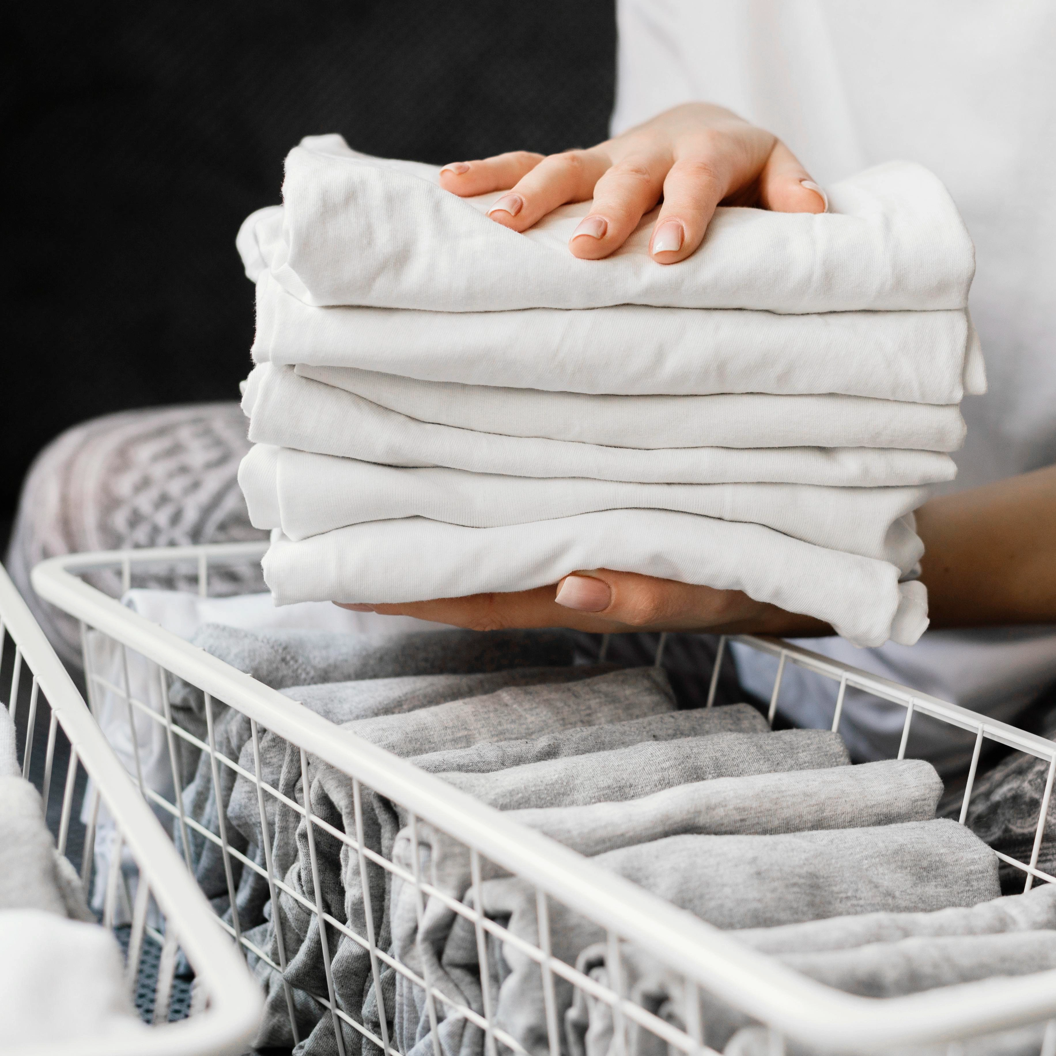 Best laundry franchise business in Coimbatore